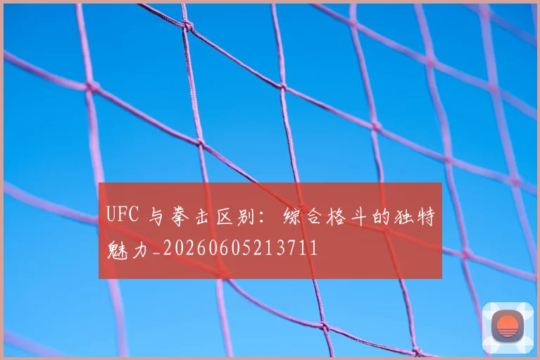 UFC 与拳击区别：综合格斗的独特魅力_20260605213711